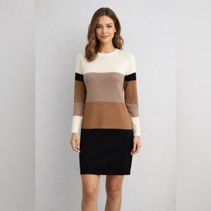 Papillon Neutral Colorblock Sweater Dress Knit Tunic Fall Size M NWT
